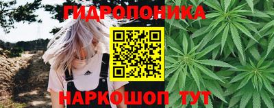 каннабис Сланцы